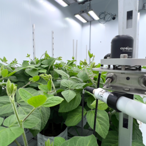Experimental crop trials in a controlled environment