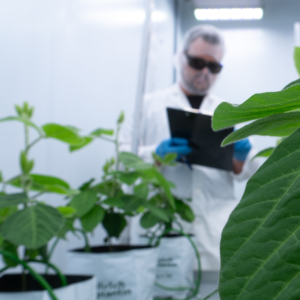 Plant assessment in a controlled research environment